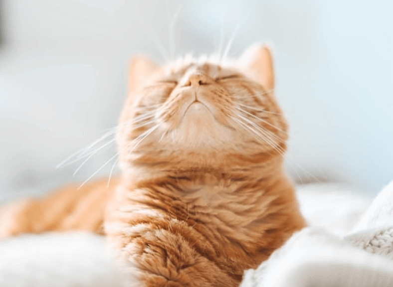 Imagem da galeria da Casa do Produtor